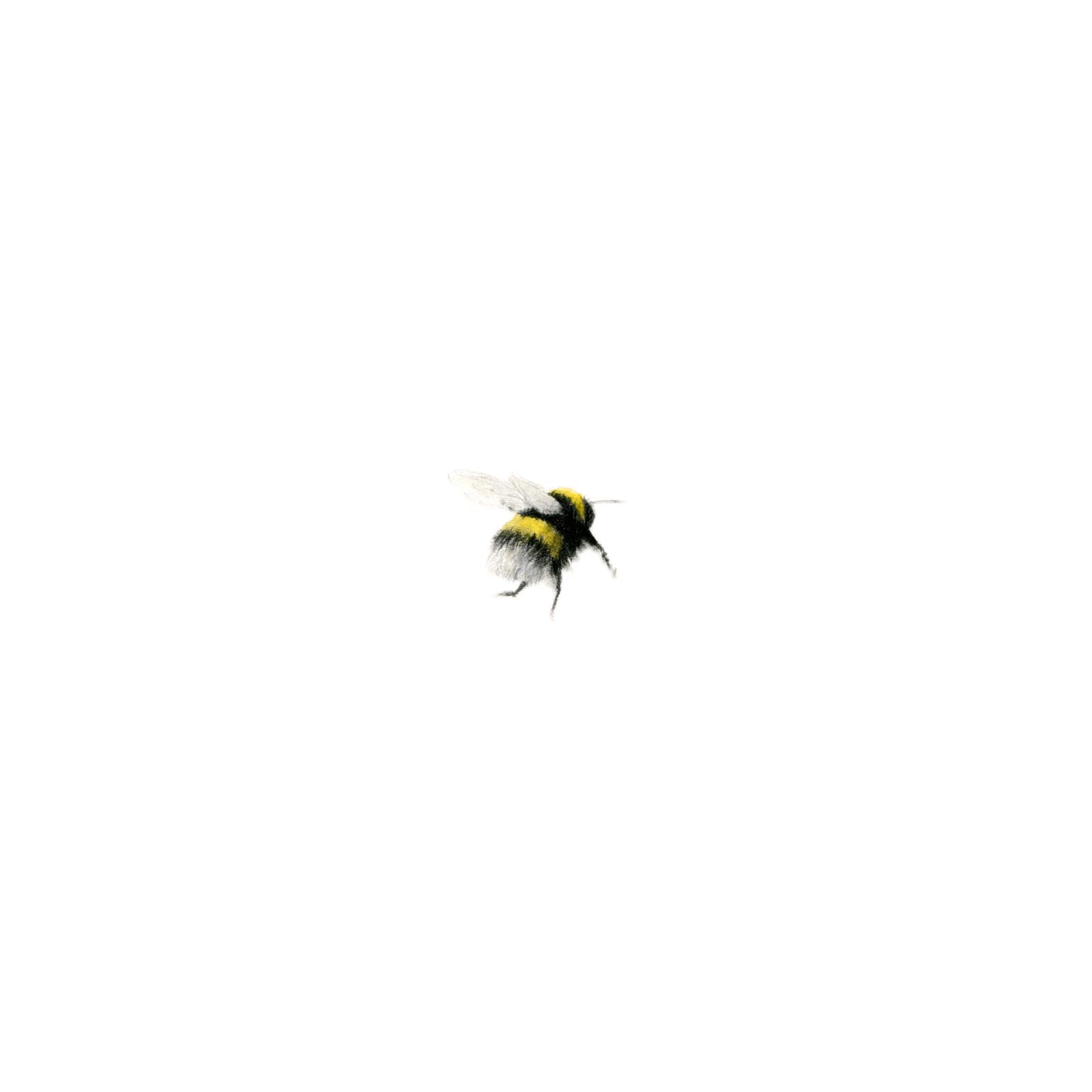 412WeeBeeTwo 412WeeBeeTwo