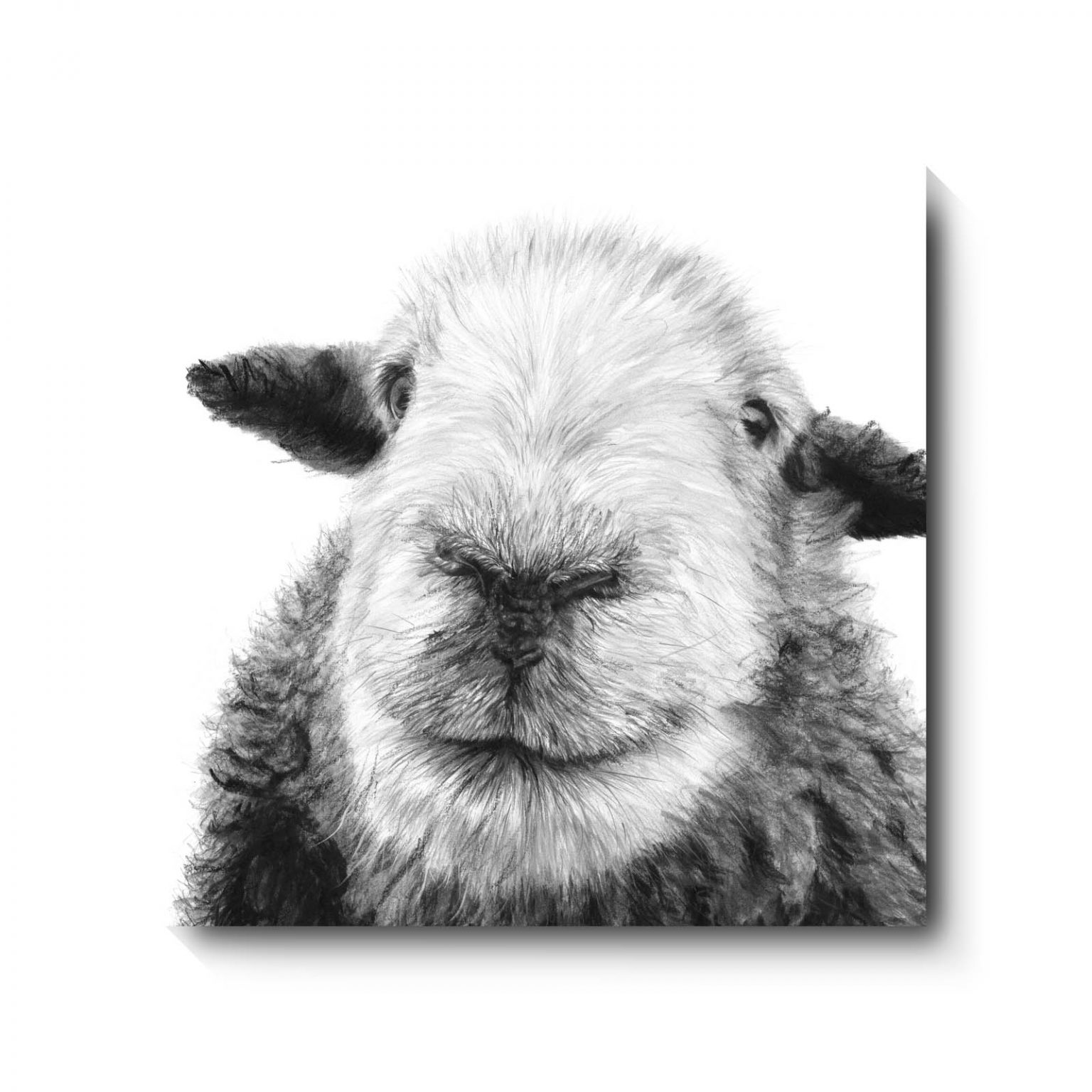 aries-cumbrian-artist-david-pooley